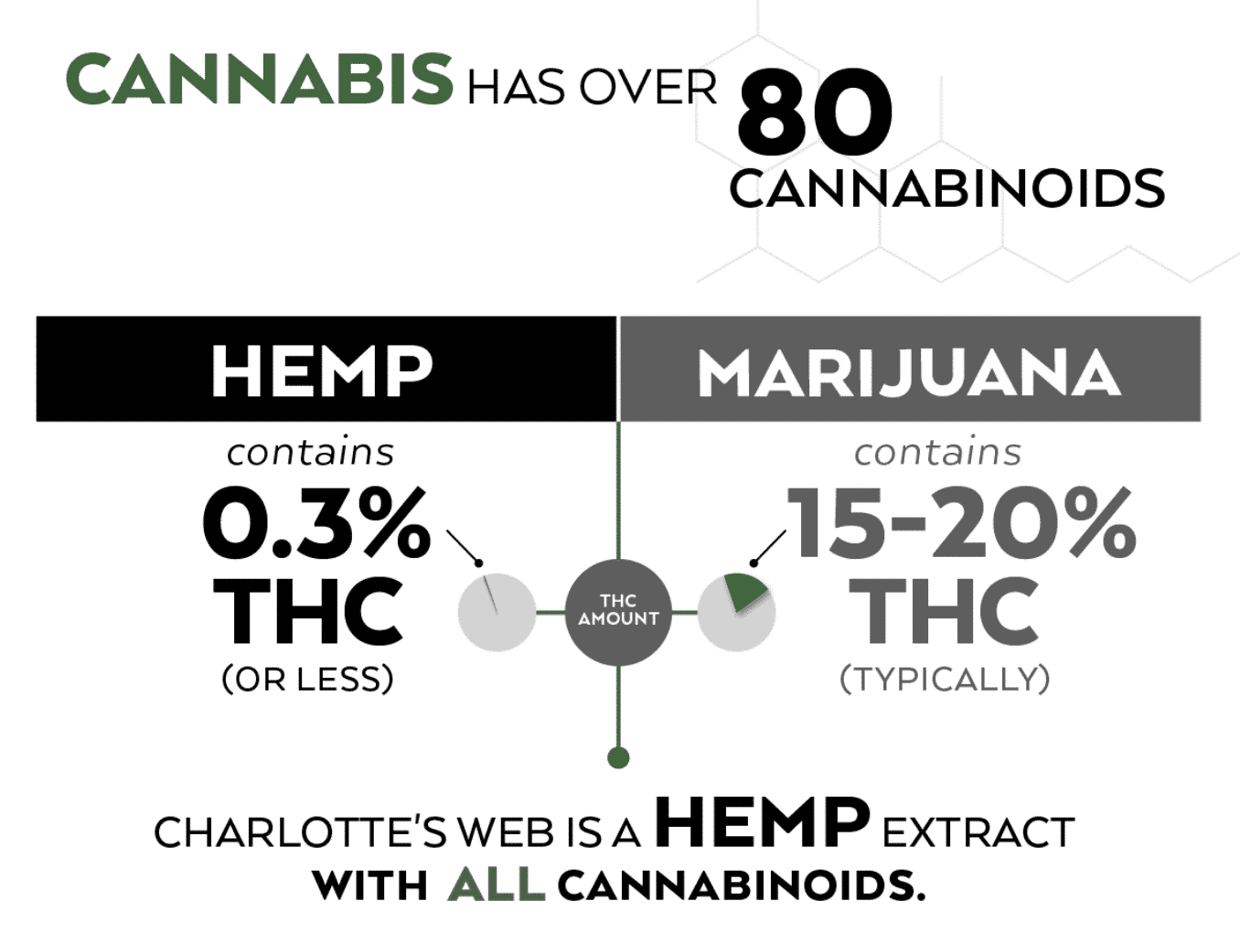 , Cannabis 101: Charlotte’s Web v Hemp Seed Oil v Marijuana