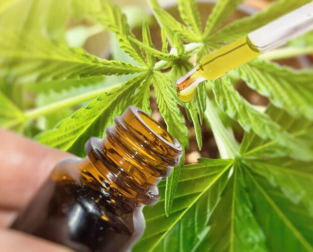 A beginner’s guide to CBD: What you need to know beginnersguide | Savage Cabbage